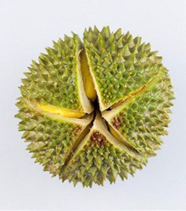 进口冷冻榴莲清关